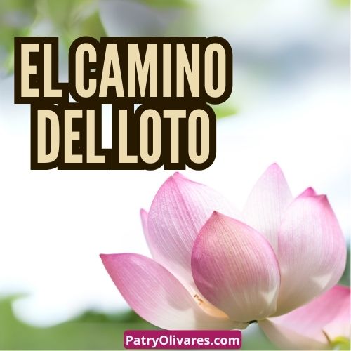 El Camino del Loto
